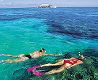 Great Barrier Reef Tours, Snorkel, Dive, Sail the Great Barrier Reef of Australia