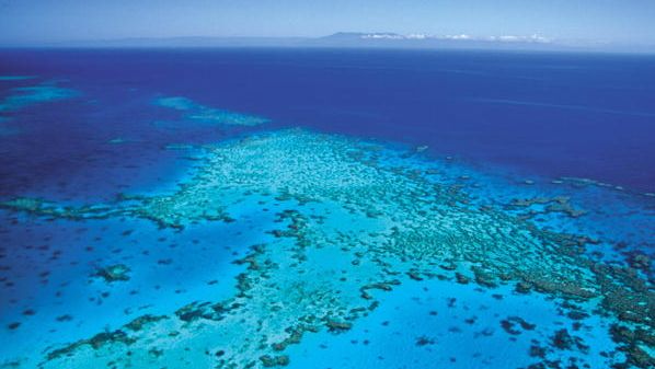 Hardy Reef off of Queensland Coast - Great Barrier Reef