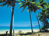Tropical North Queensland Accommodation Advertising